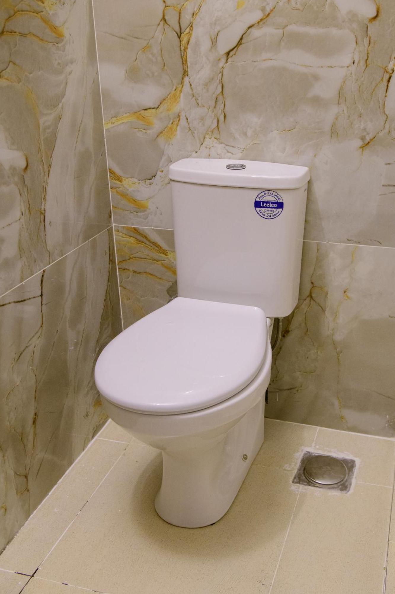 לוקסור Eyaru Palace Nile View מראה חיצוני תמונה
